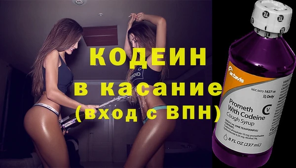 индика Михайловка