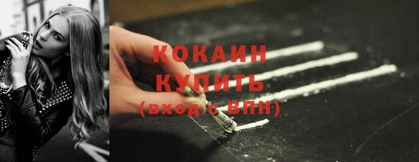 индика Михайловка