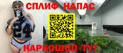 сатива Балахна