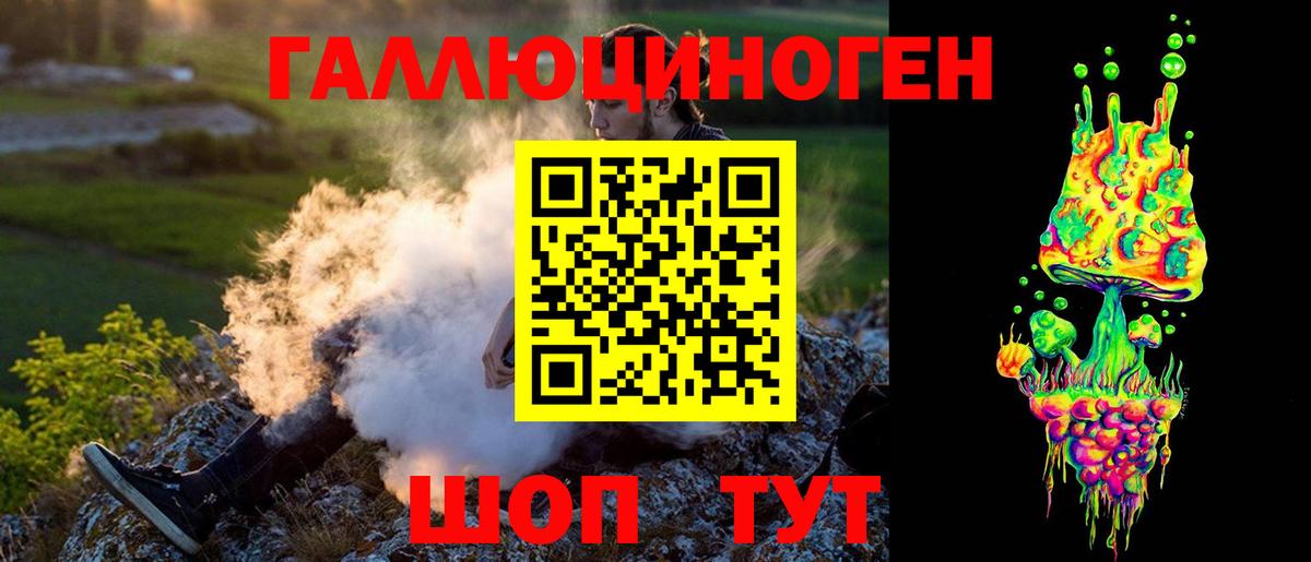 Псилоцибиновые грибы Psilocybine cubensis Кандалакша