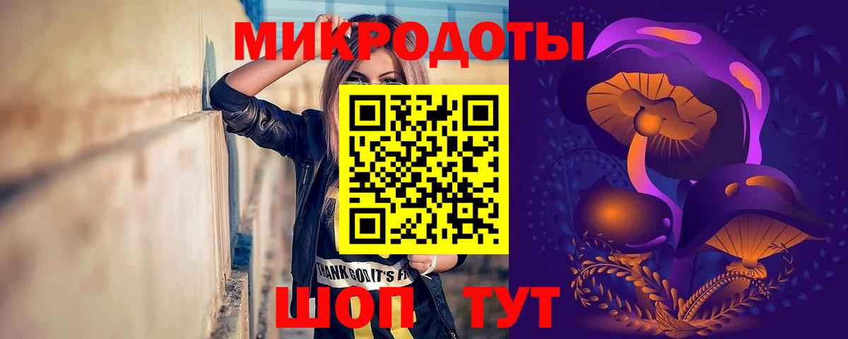 Псилоцибиновые грибы Cubensis Кандалакша