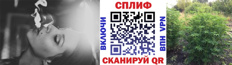 Бошки Шишки OG Kush  mega зеркало  Кандалакша 