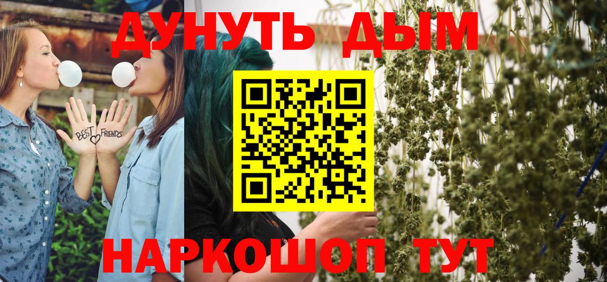 Каннабис план Кандалакша